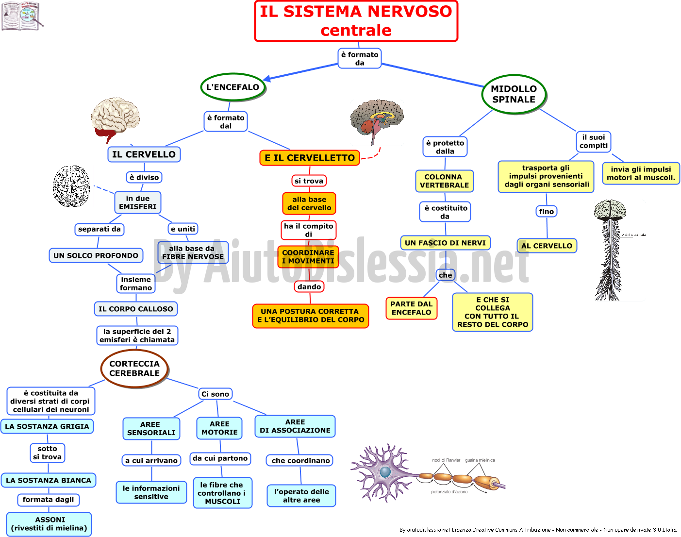 Ed Fisica Sc Media Aiutodislessia Net