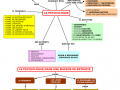 01.-PSYCHOLOGUE-EN-STRUCTURE-SOCIALE