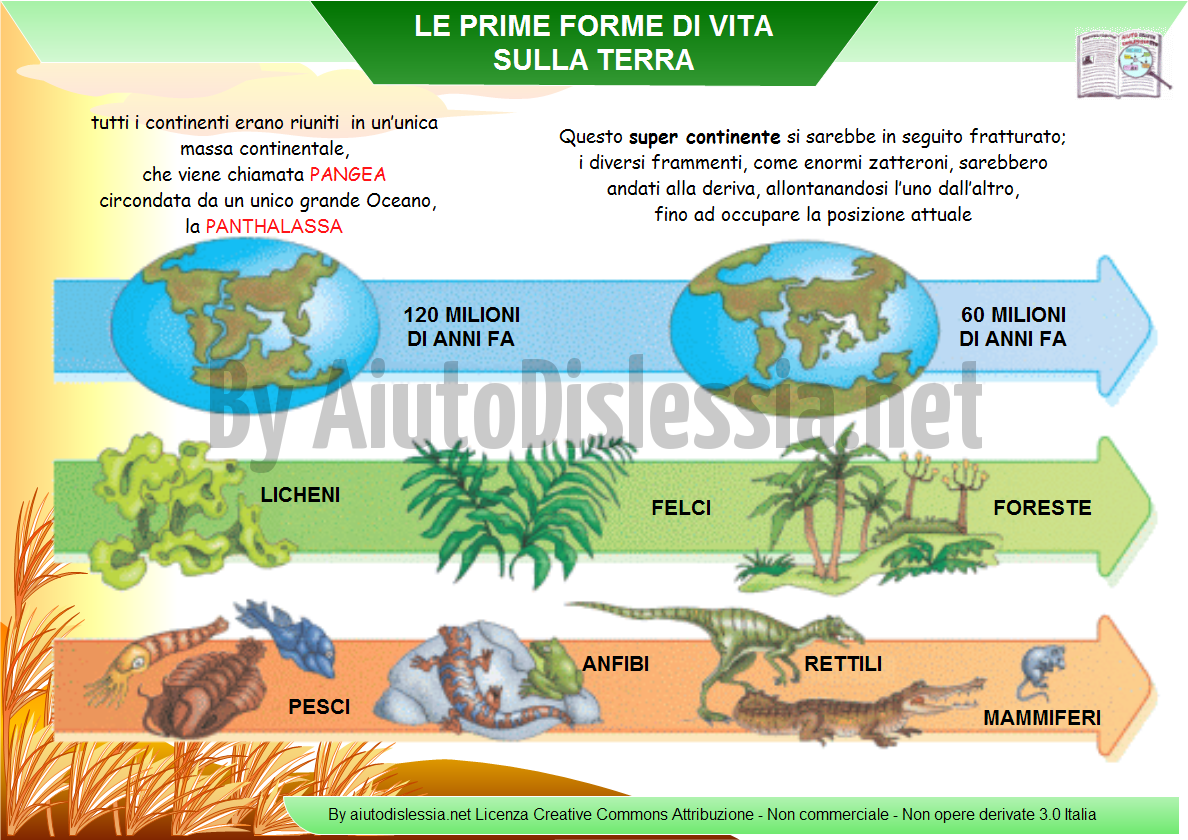 Le Origini Della Vita Aiutodislessia Net