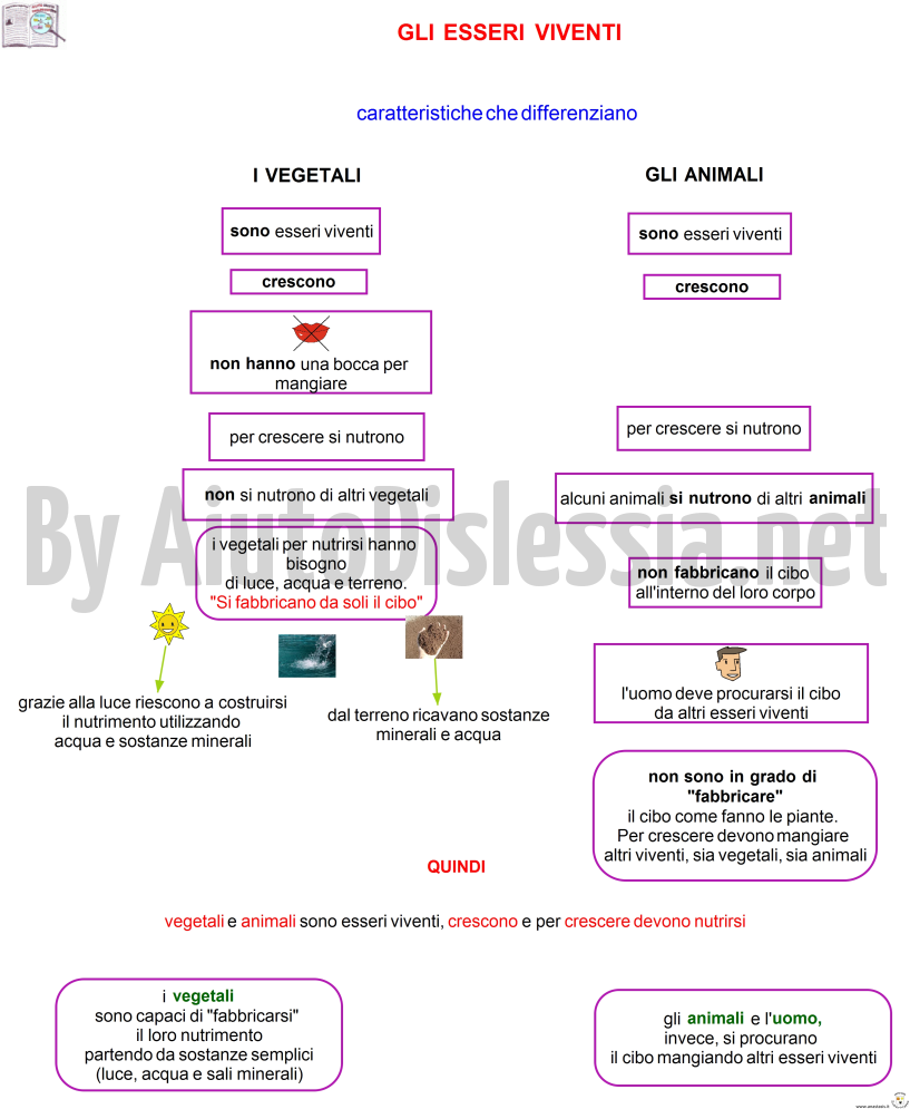 Gli Animali Sc Elementare Aiutodislessia Net