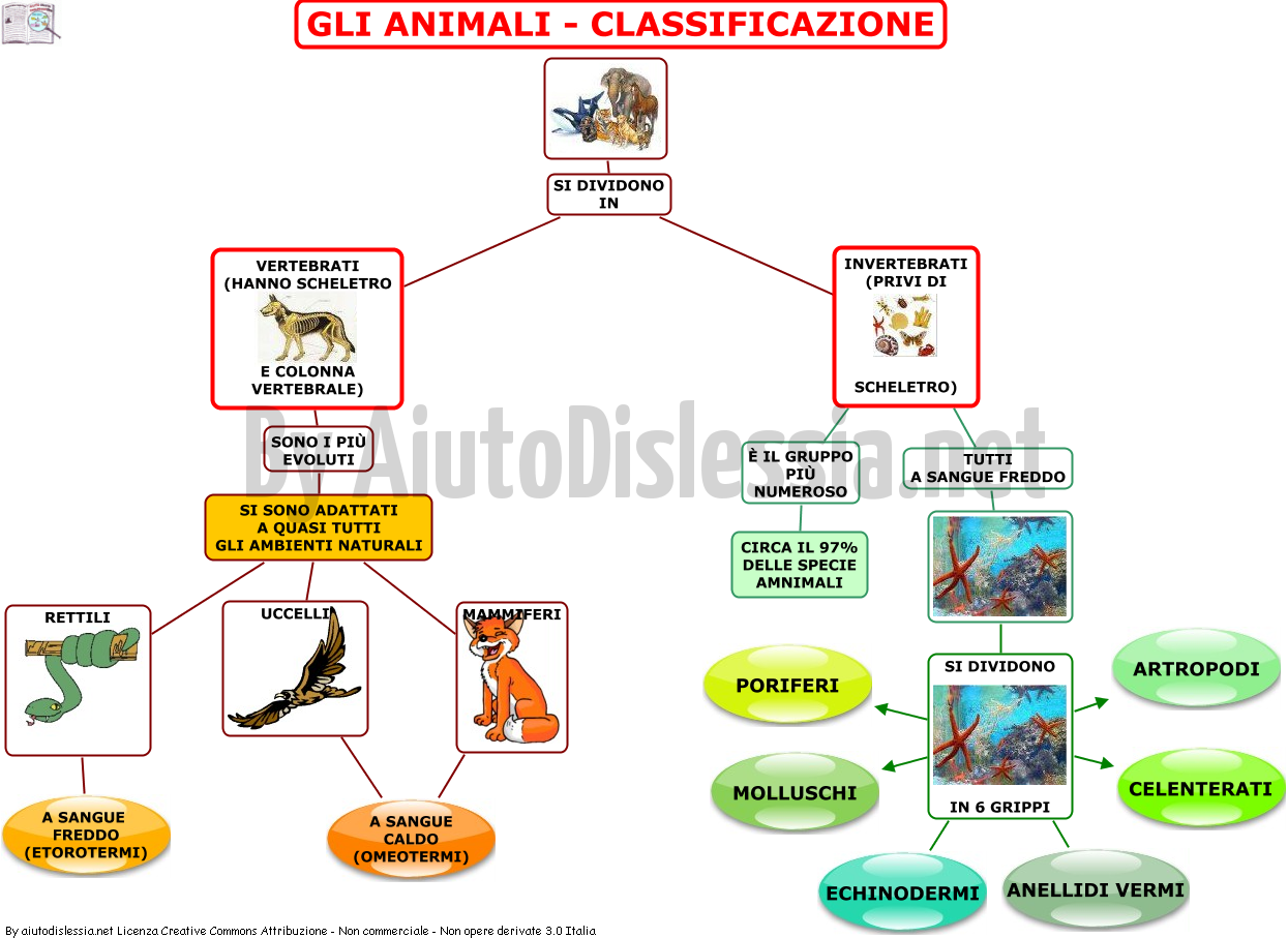 01. GLI ANIMALI LA CLASSIFICAZIONE