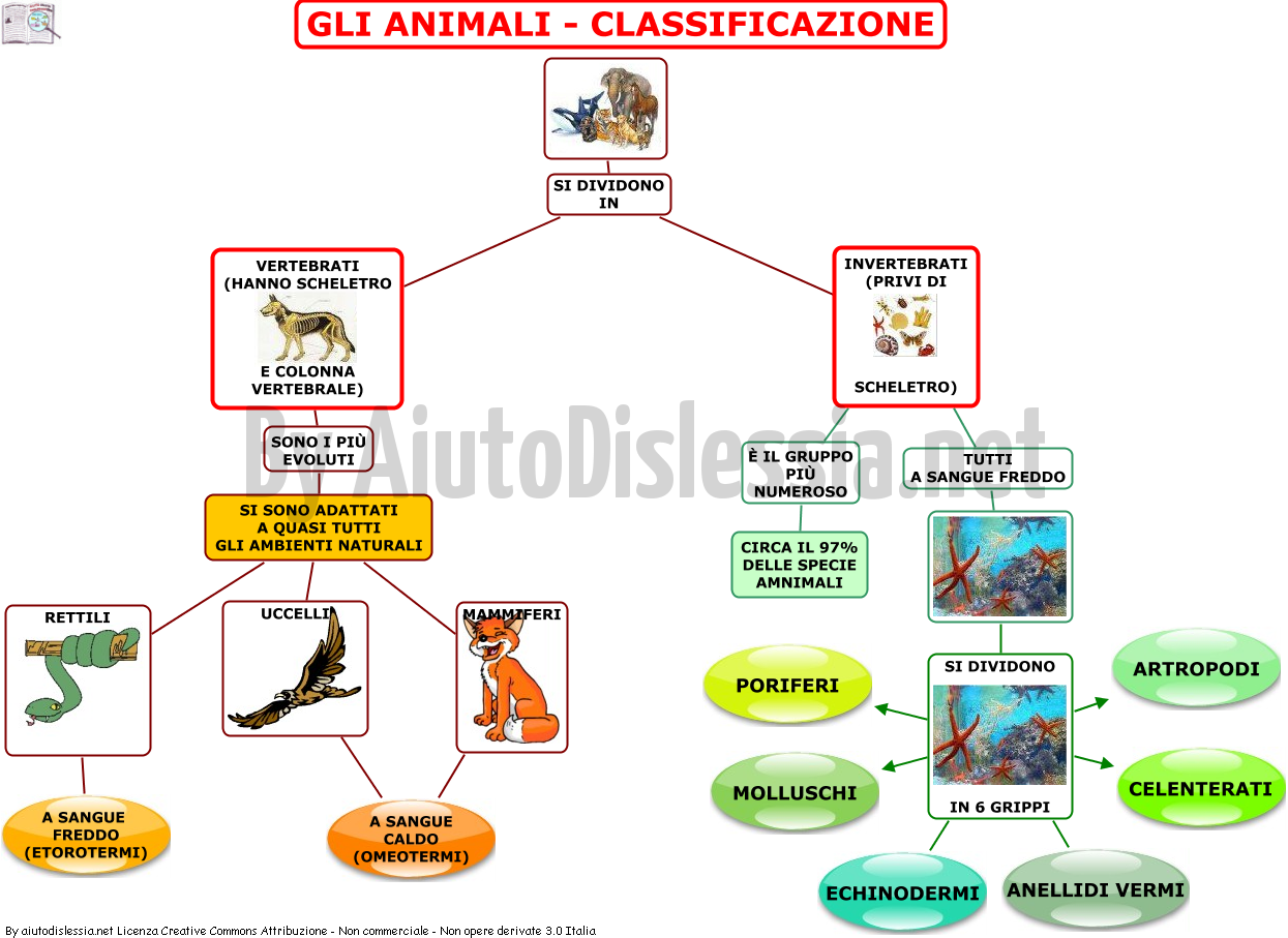 Gli Animali Sc Elementare Aiutodislessia Net