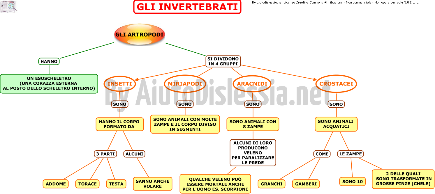 Gli Animali Sc Elementare Aiutodislessia Net