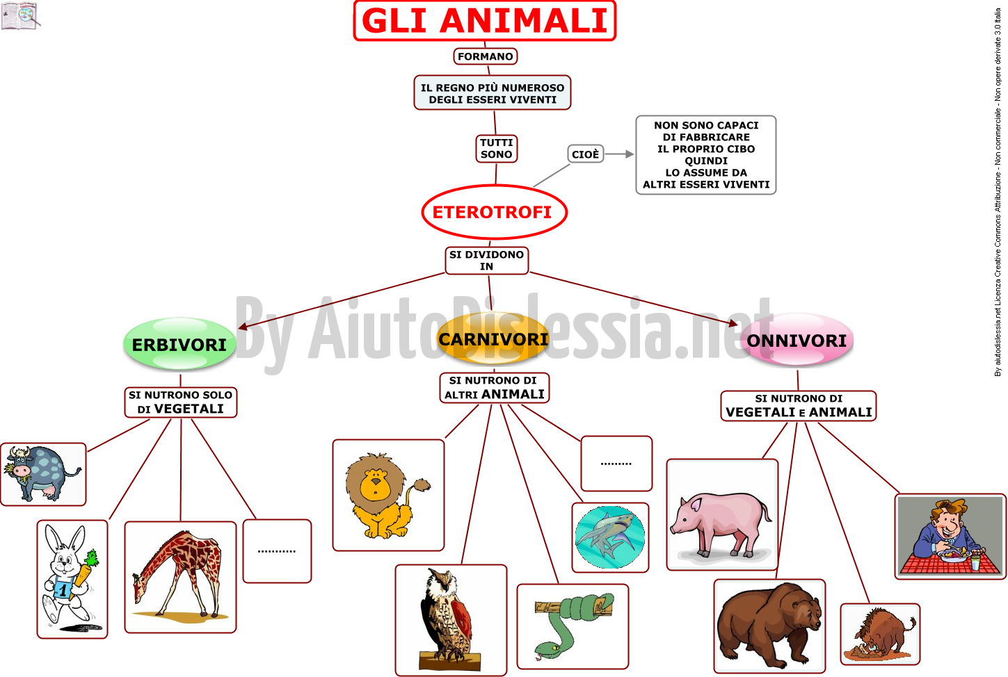 04. GLI ANIMALI - CLASSIFICAZIONE 2