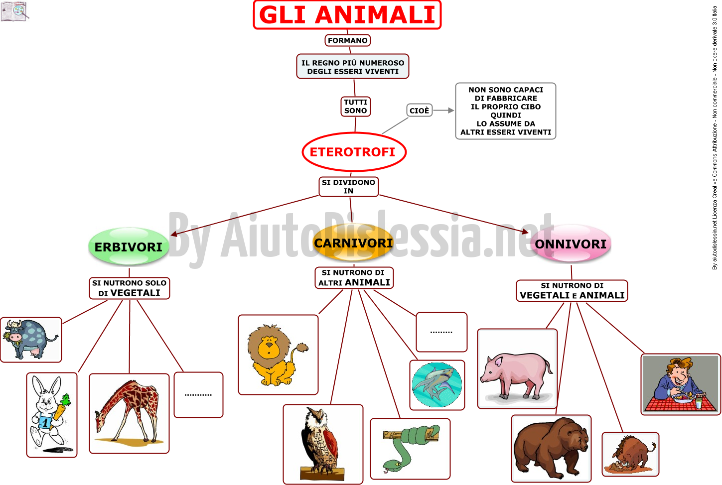 Gli Animali Sc Elementare Aiutodislessia Net