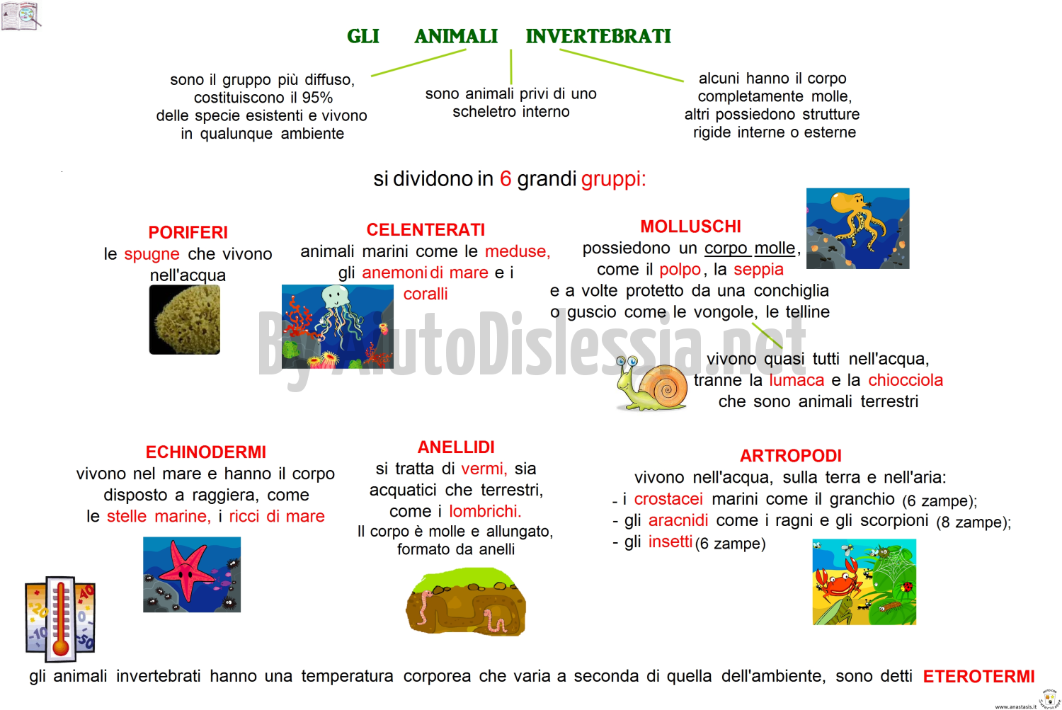 Gli Animali Sc Elementare Aiutodislessia Net