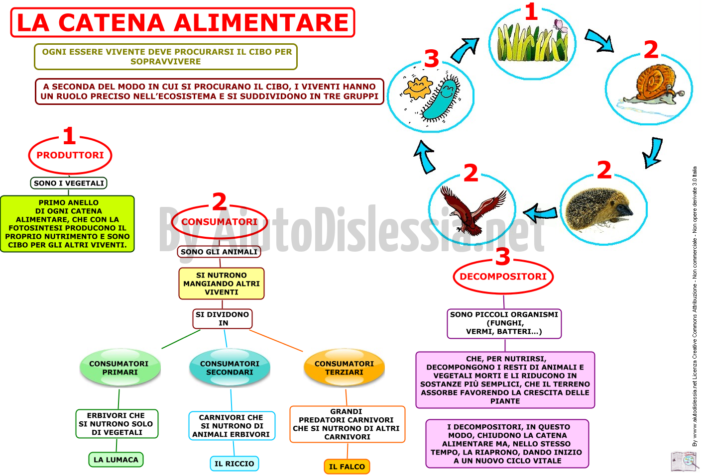 Gli Animali Sc Elementare Aiutodislessia Net