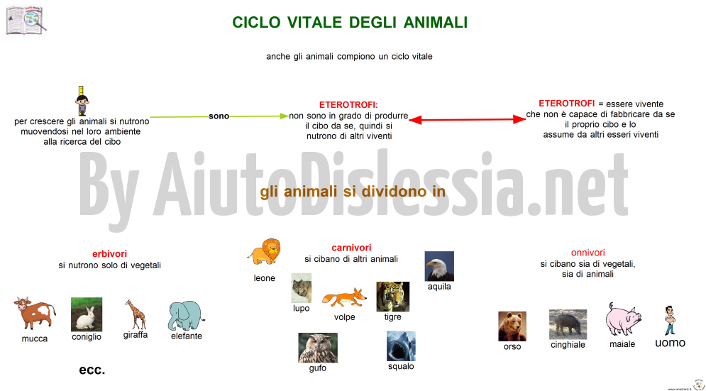 08. ciclo vitale animali