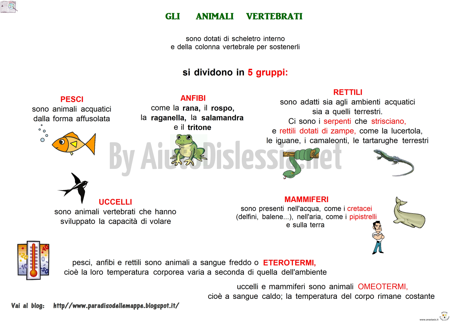 Gli Animali Sc Elementare Aiutodislessia Net