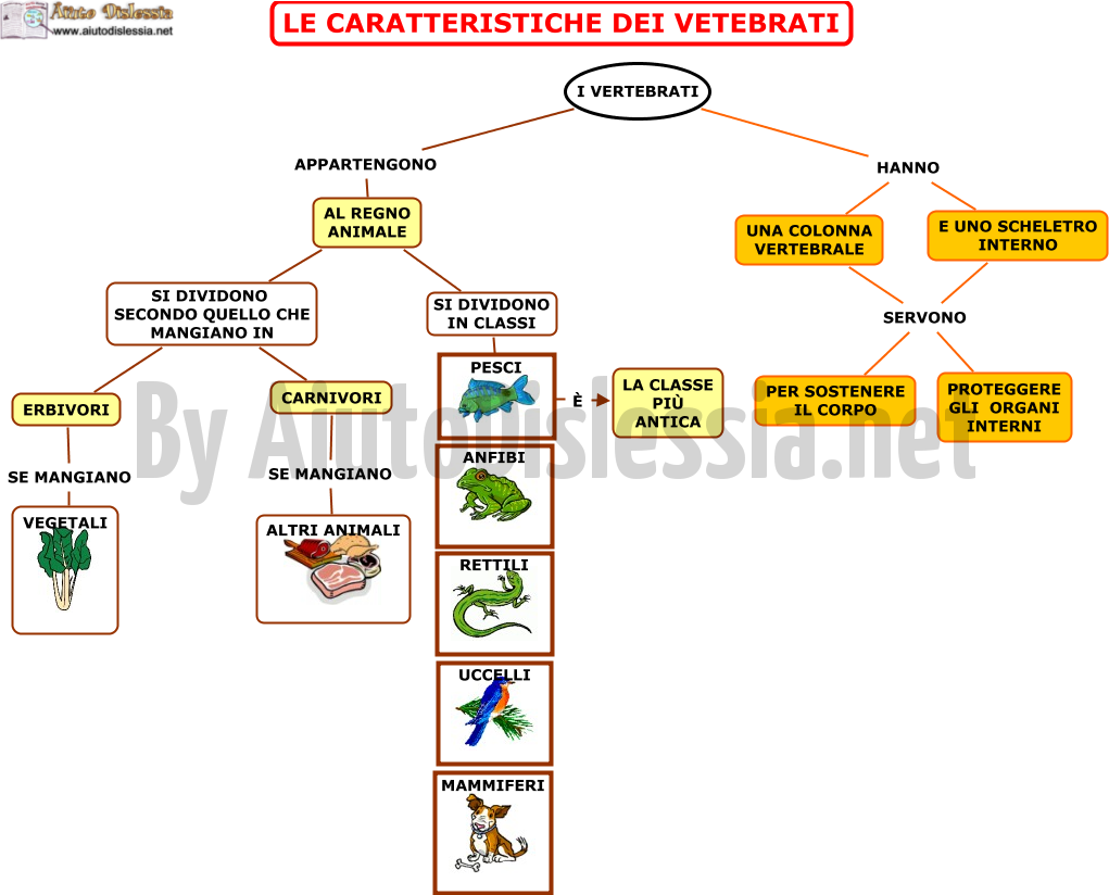 Gli Animali Sc Elementare Aiutodislessia Net