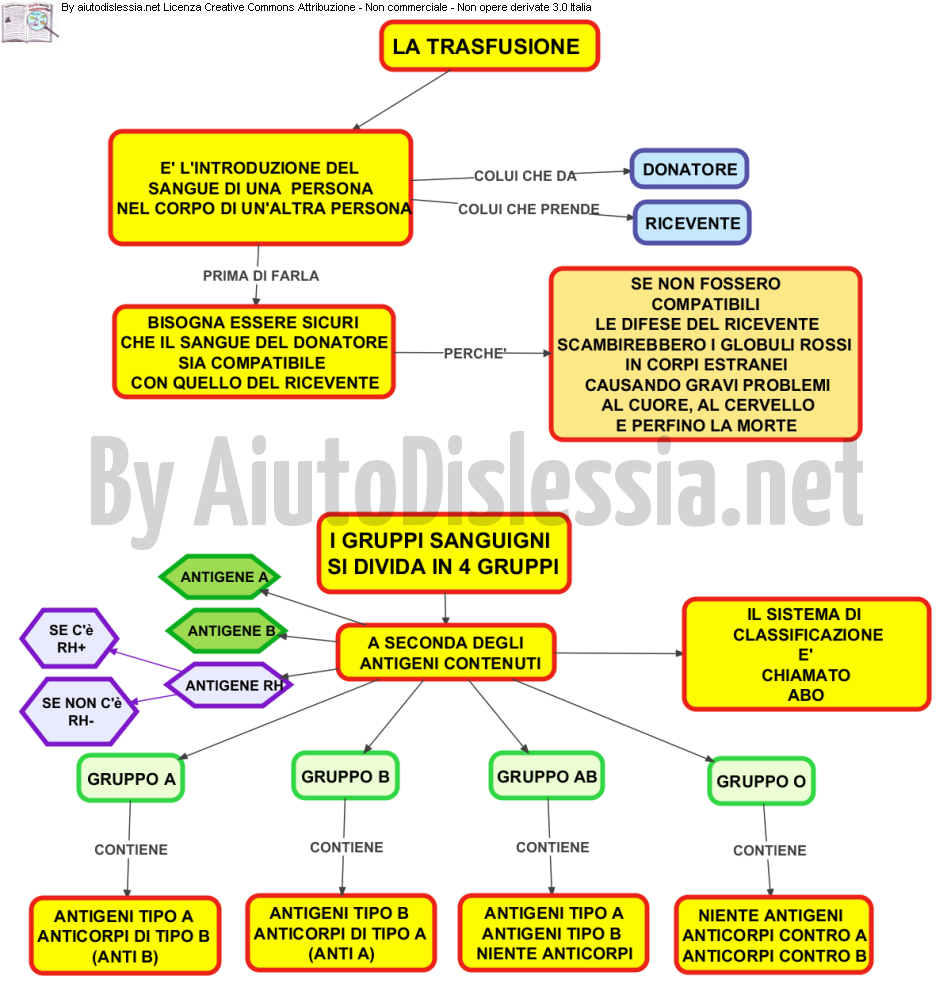 Apparato Circolatorio Sc Media Aiutodislessia Net