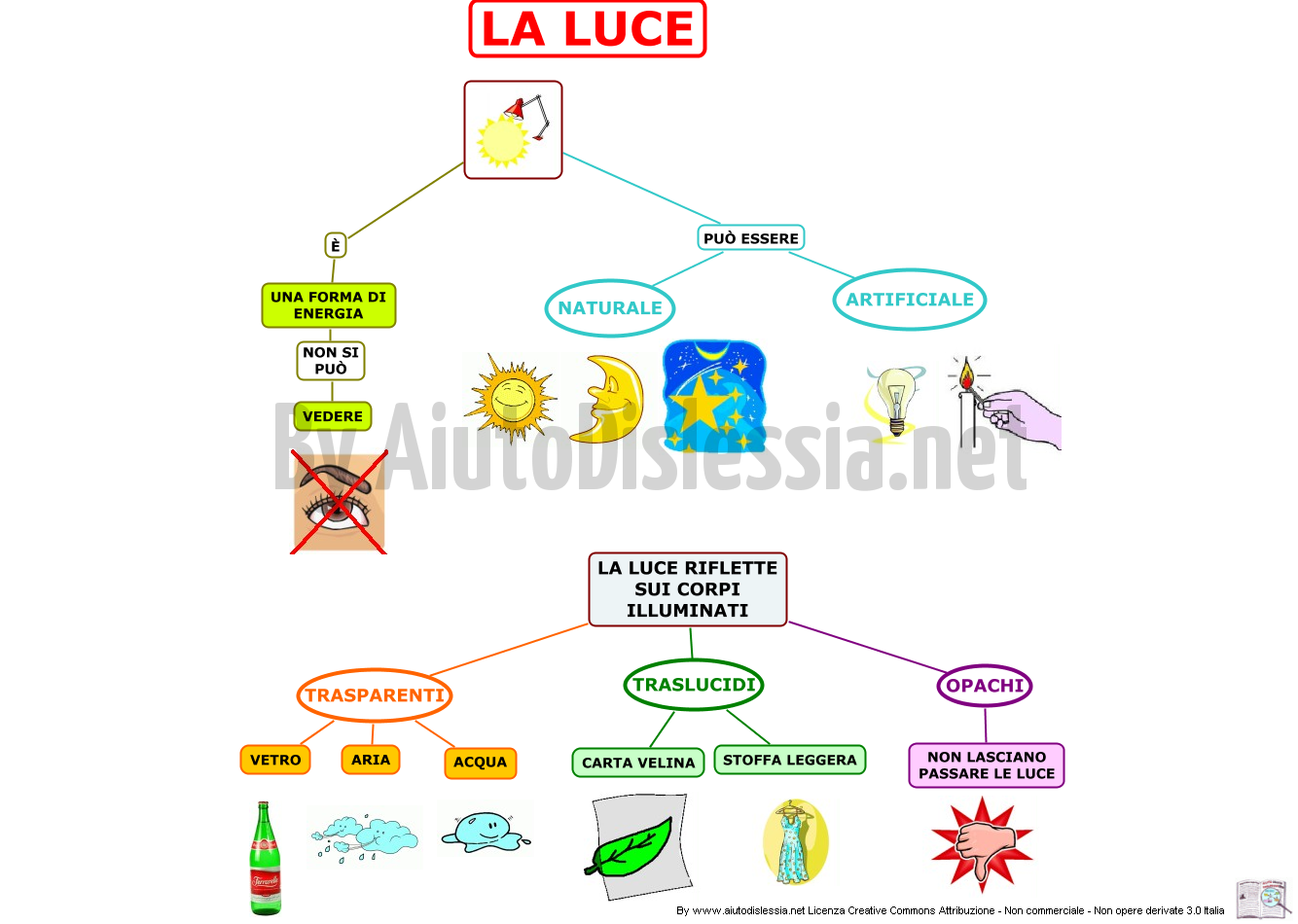 Gli Organi Di Senso Aiutodislessia Net