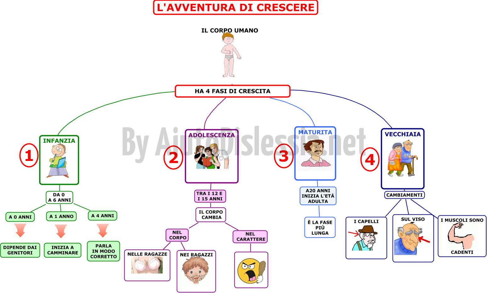 Il Corpo Umano Sc Elementare Aiutodislessia Net