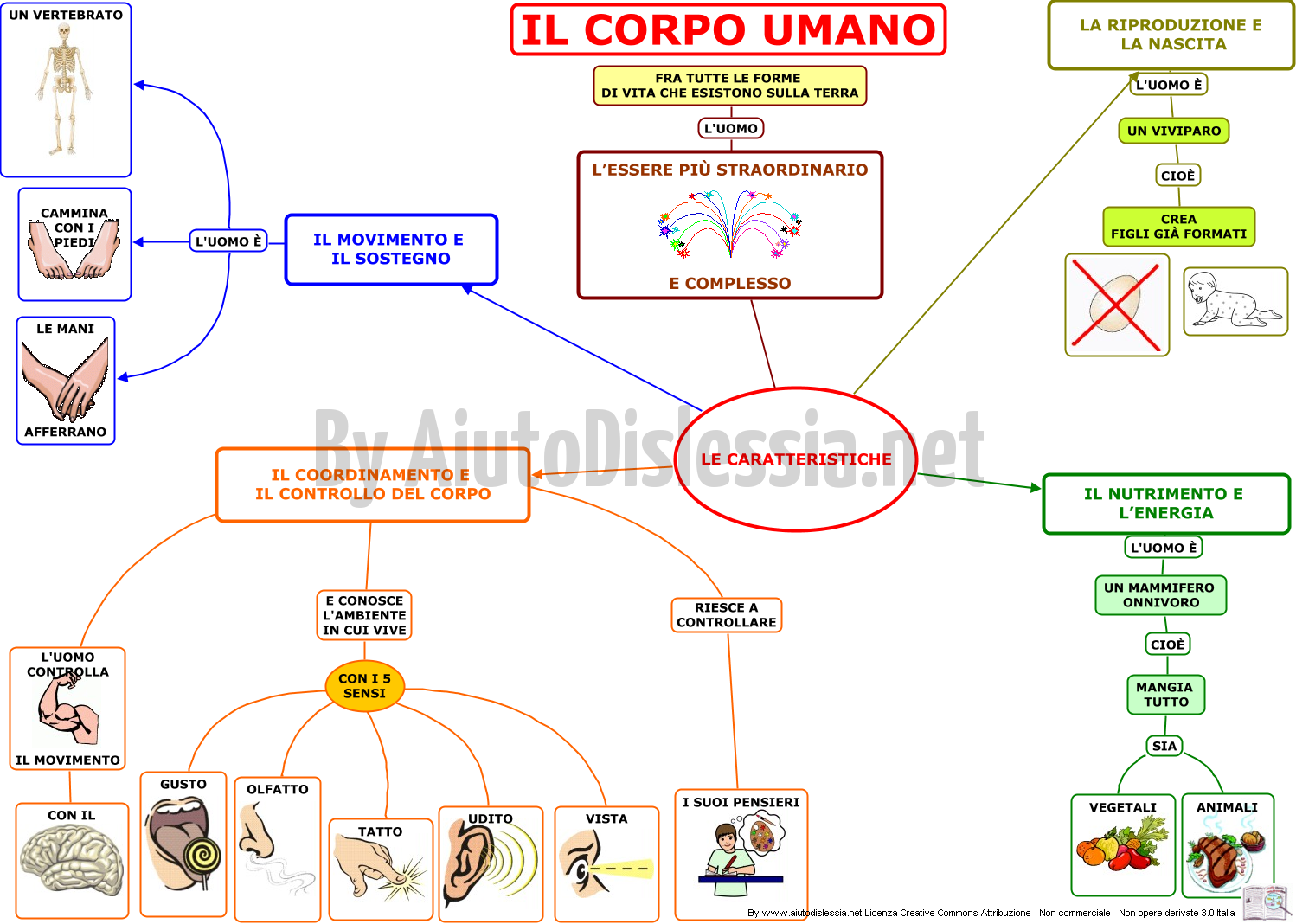 Il Corpo Umano Sc Elementare Aiutodislessia Net