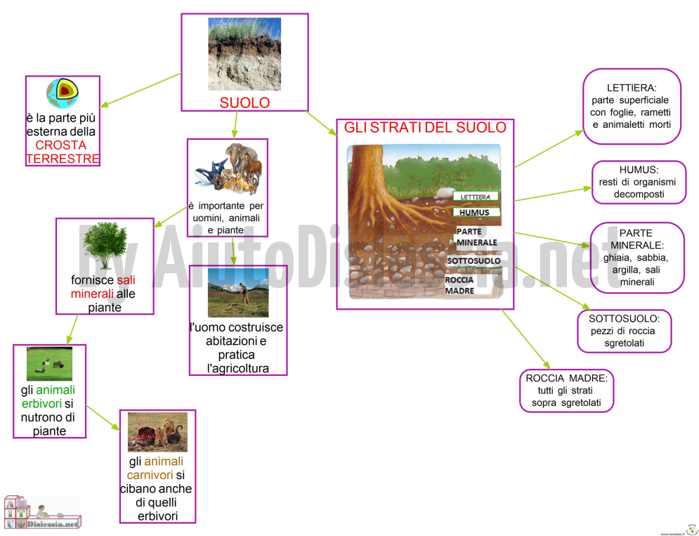 Il Suolo Sc Elementare Aiutodislessia Net