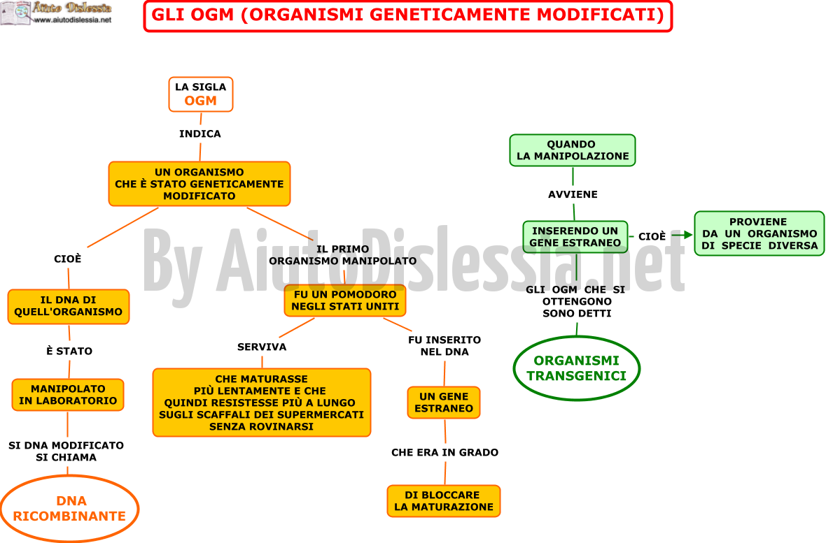 02.-GLI-OGM-Organismi-Geneticamente-Modificati