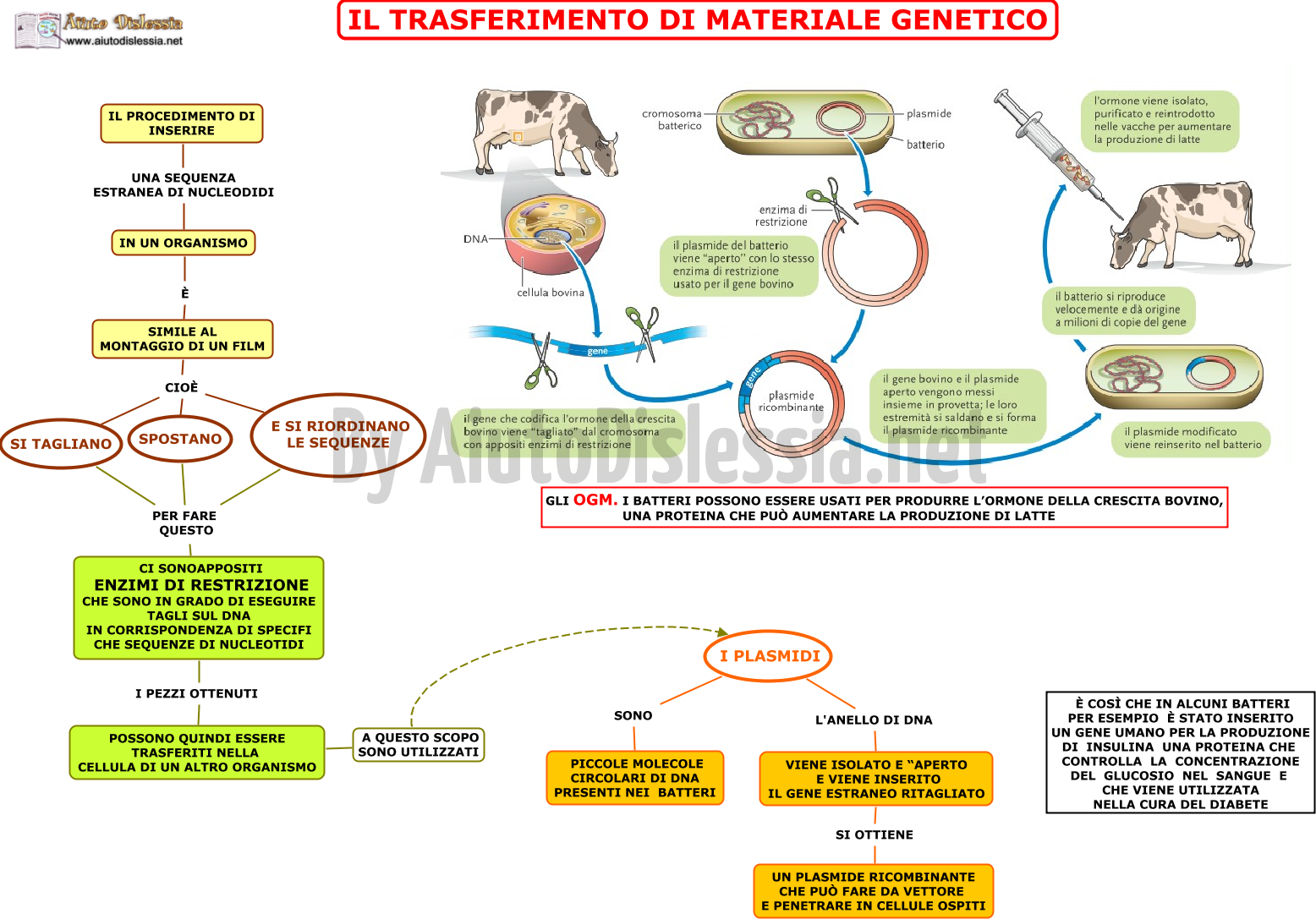 03.-IL-TRASFERIMENTO-DI-MATERIALE-GENETICO