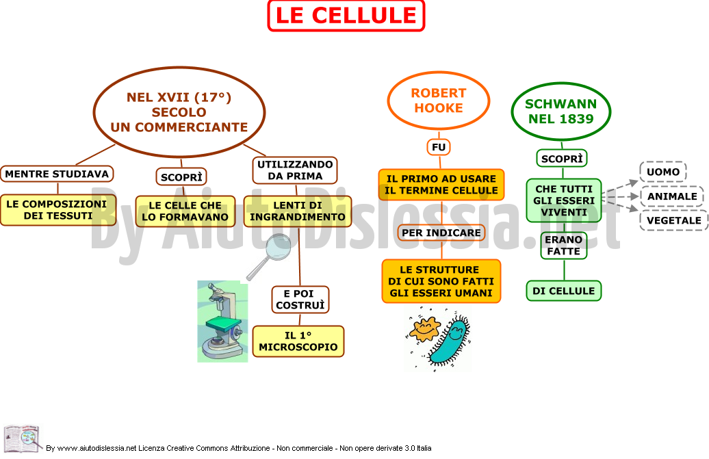 Le Cellule Ist Superiore Aiutodislessia Net