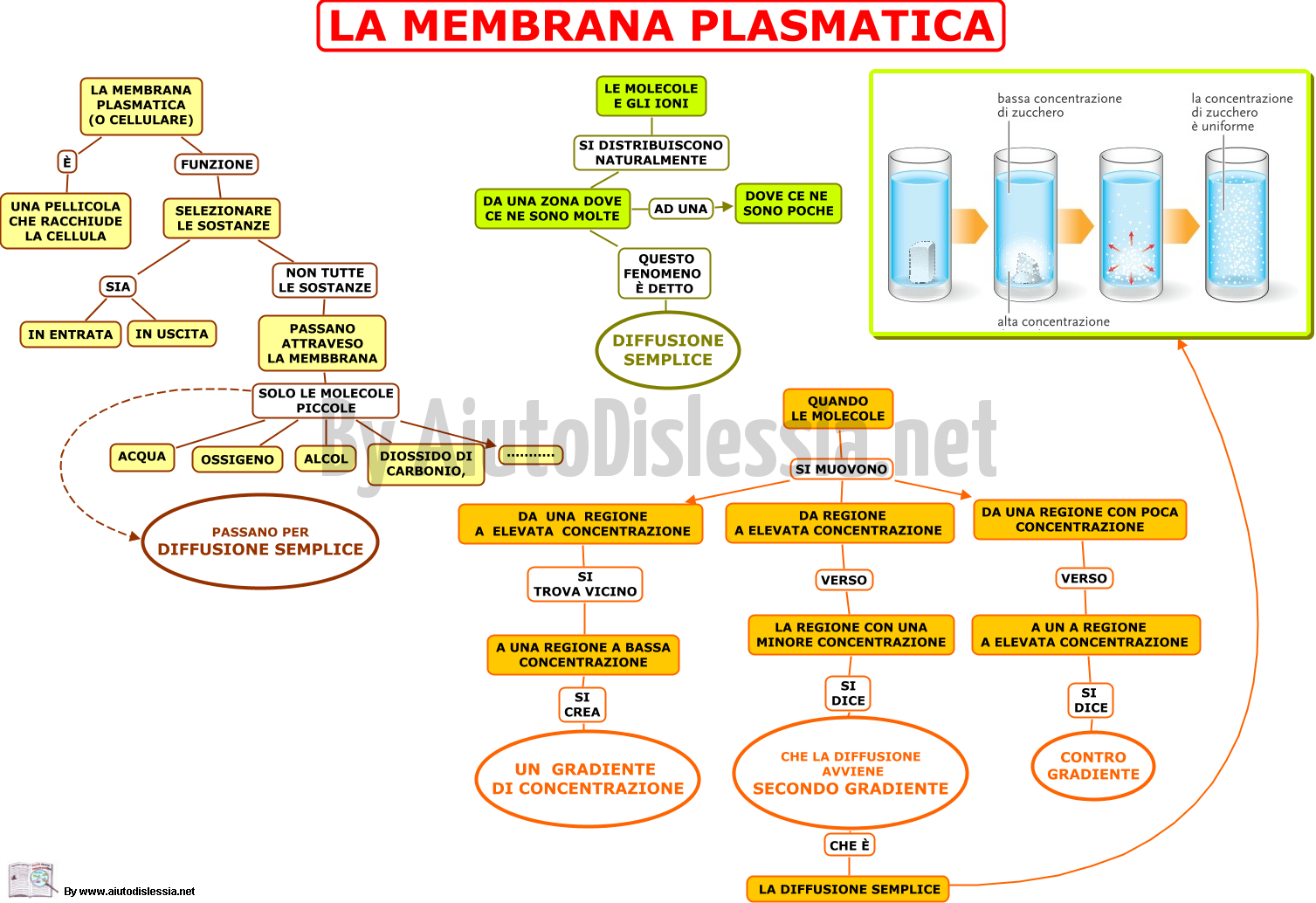 Le Cellule Ist Superiore Aiutodislessia Net