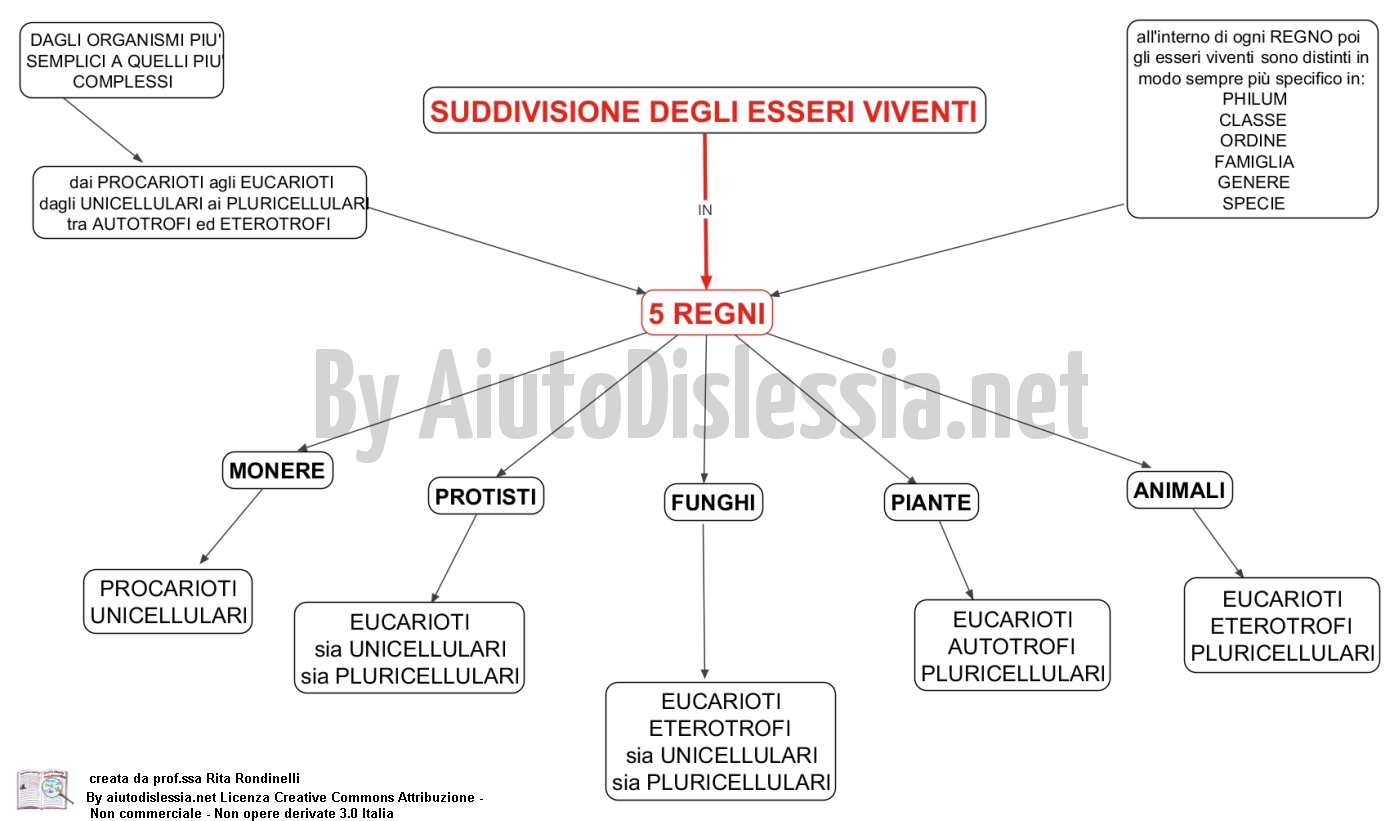 Gli Esseri Viventi Sc Media Aiutodislessia Net