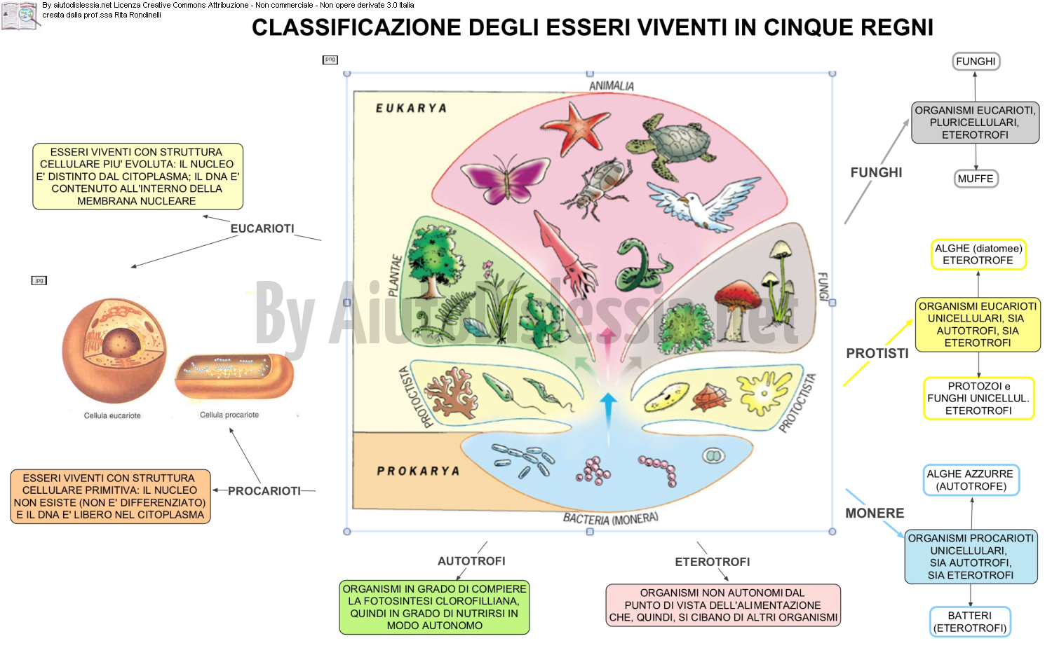 Gli Esseri Viventi Sc Media Aiutodislessia Net