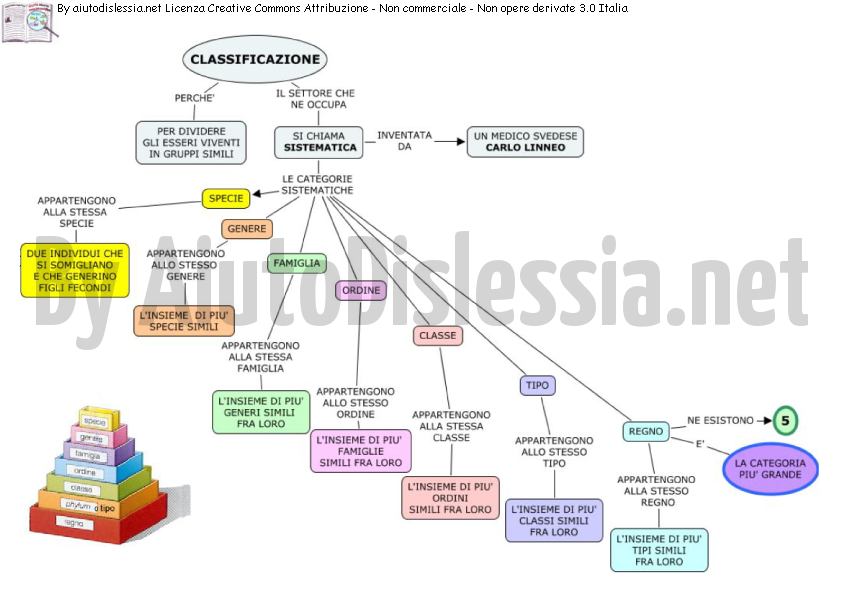 Gli Esseri Viventi Sc Media Aiutodislessia Net