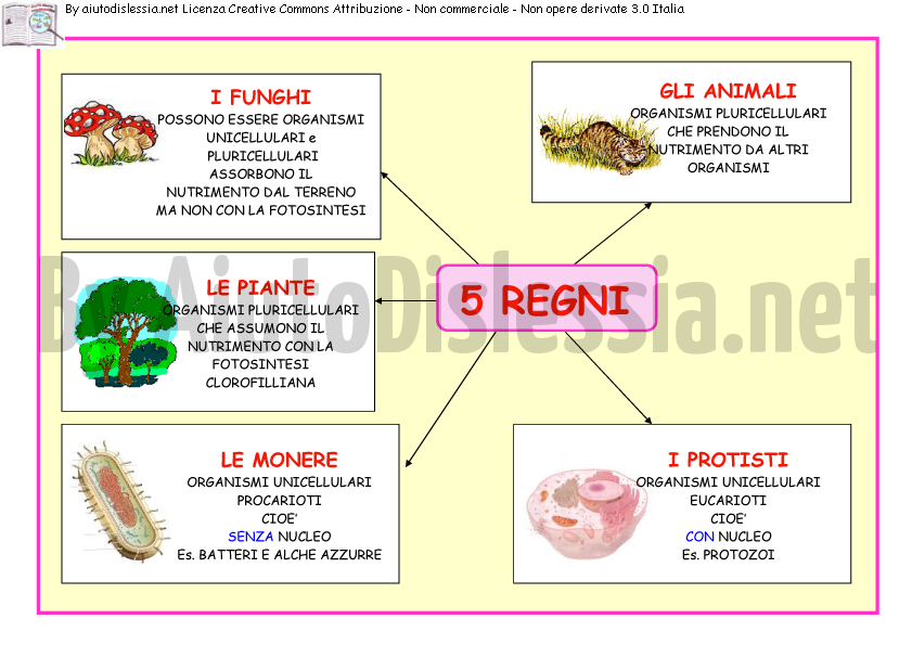 Gli Esseri Viventi Sc Media Aiutodislessia Net