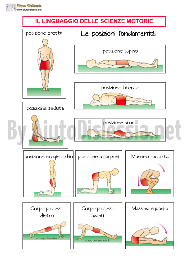Scienze Motorie Ist Superiore Aiutodislessia Net