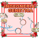 INGEGNERIA GENETICA