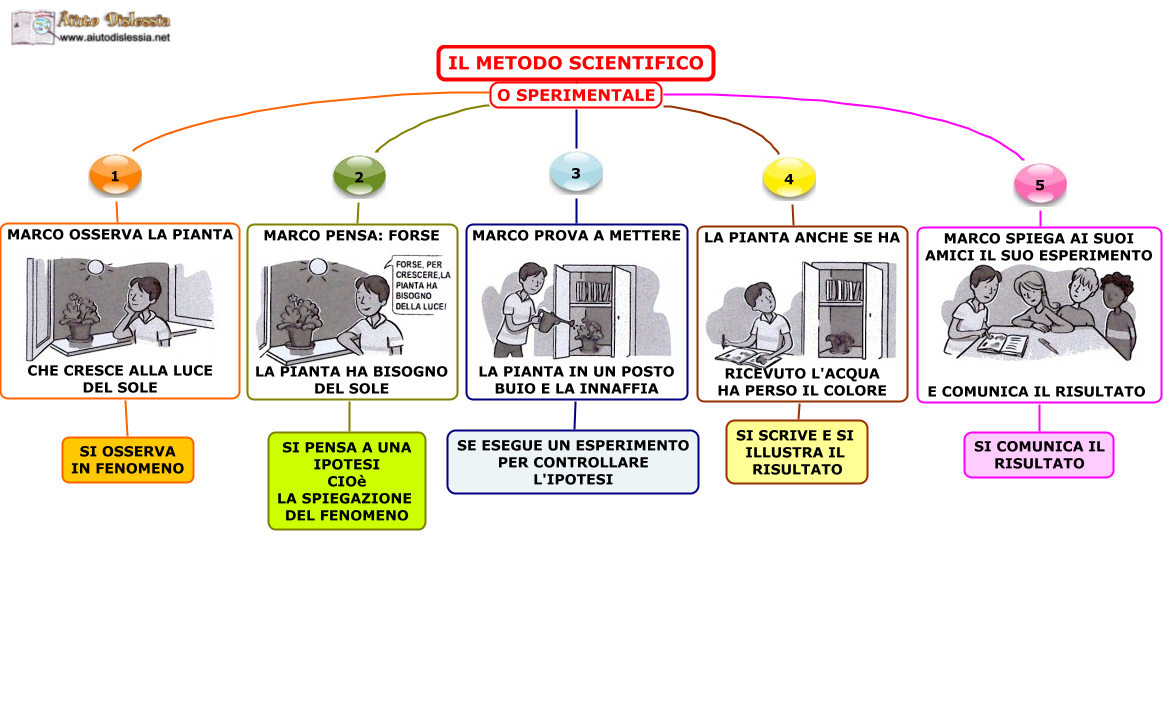 Il Metodo Scientifico Sperimentale Lessons Blendspace