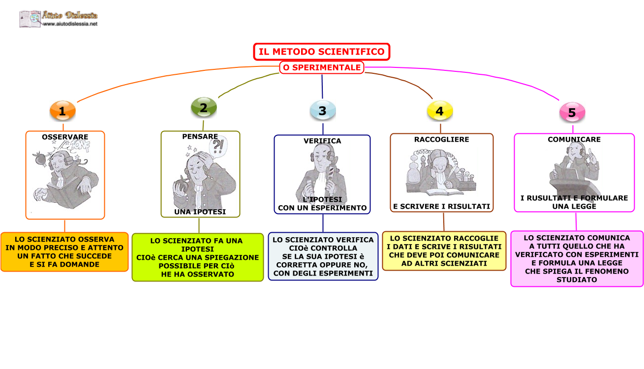 Scienze Sc Media Aiutodislessia Net