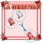 LA-GENETICA