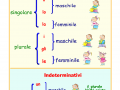 gli-articoli-schema-semplice