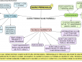 36.-DIARIO-CARATTERISTICHE-FORMALI