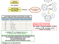 01. I GAS NOBILI E LA REGOLA DELL OTTETTO