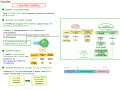 09. MAPPA RIASSUNTIVA SUI LEGAMI CHIMICI