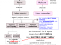 10.-I-LEGAMI-CHIMICI-FACILITATA