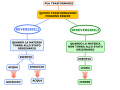 10.-TRASFORMAZIONI-REVERSIBILI-E-IRREVERSIBILI