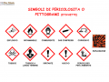 07.-SIMBOLI-DI-PERICOLOSITA-O-PITTOGRAMI