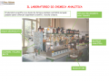 09.-LABORATORIO-ANALITICO
