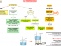02. LA TEMPERATURA