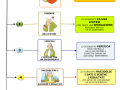 05.-IL-METODO-SCIENTIFICO