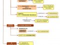 02.-LA-REGIONE