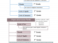 04.-ORGANI-DEL-PROCESSO-CIVILE-E-PENALE