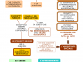 03.-COME-SI-AVVIA-UNAZIONE-IN-RETE
