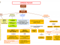 05.-IMPRESE-PRIVATE
