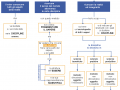 07.  ARISTOTELE IL PROGETTO FILOSOFICO mappa riassuntiva