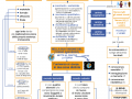 20. ARISTOTELE E LA FISICA DIO E ANIMA