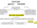 10.-soluzione-di-unequazione-in-mappa