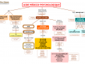 01.-AIDE-MEDICO-PSYCHOLOGIQUE